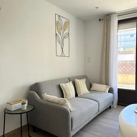 Apartment Les Tulipes - T3 Renove Avec Parking, Terrasse Et Climatisation