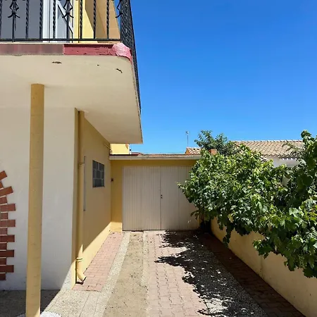 Les Tulipes - T3 Renove Avec Parking, Terrasse Et Climatisation Canet-en-Roussillon