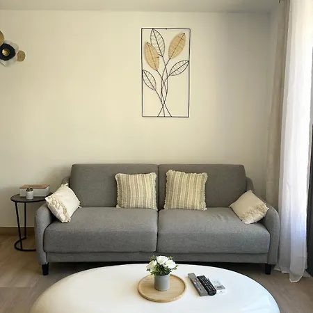 Les Tulipes - T3 Renove Avec Parking, Terrasse Et Climatisation Apartment Canet-en-Roussillon