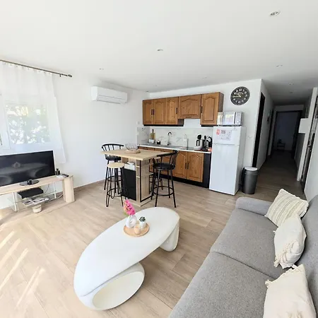 Les Tulipes - T3 Renove Avec Parking, Terrasse Et Climatisation